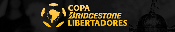 bannerlibertadores_zpsf93be69b.png