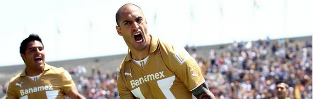 nahuelpna_zpscf16de5a.png