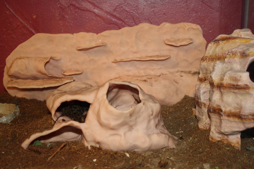 hides_zps1e979ba3.jpg