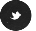 photo Twitter-Envato_zps9d5cd334.png