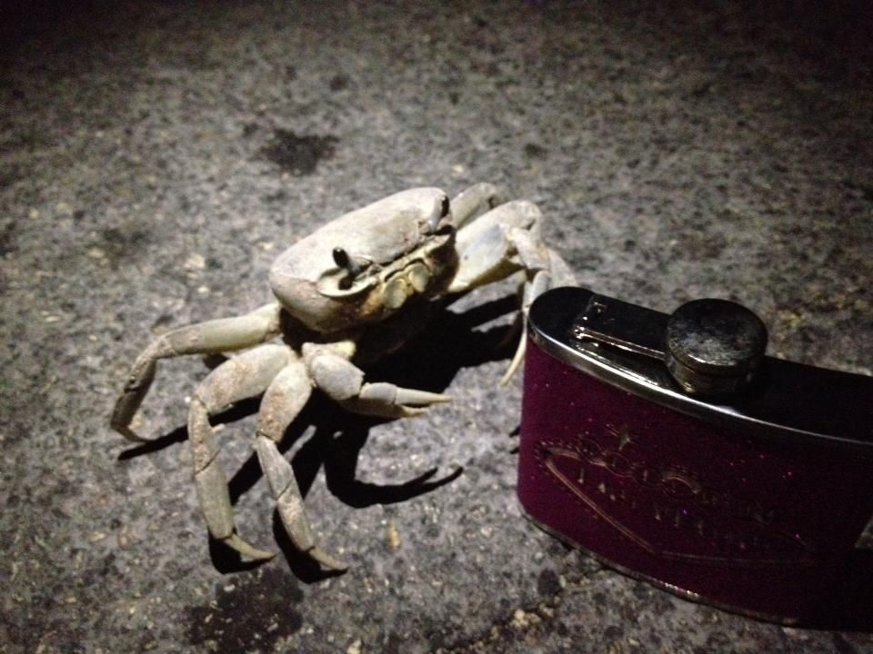 Tulum zona arqueológica y playas. Excursiones - Foro Riviera Maya y Caribe Mexicano