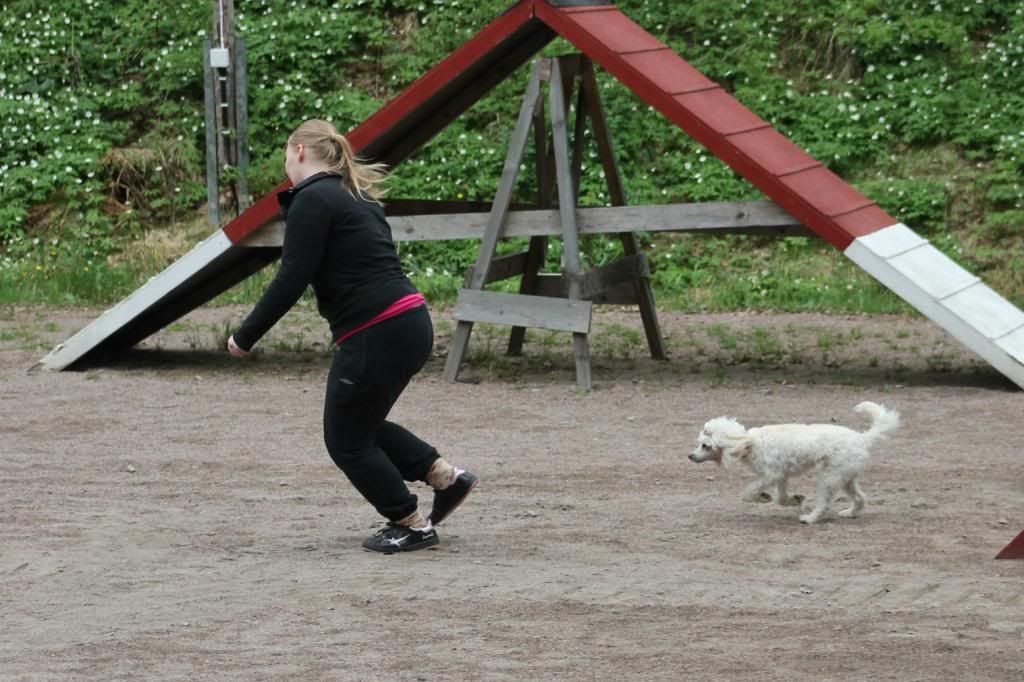 photo IMG_1677_zps294454ef.jpg