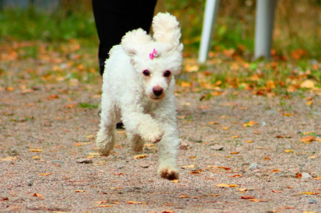 photo IMG_0092_zps363f9ab5.jpg