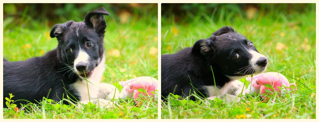 photo Collage_zpsbeceb34f.jpg