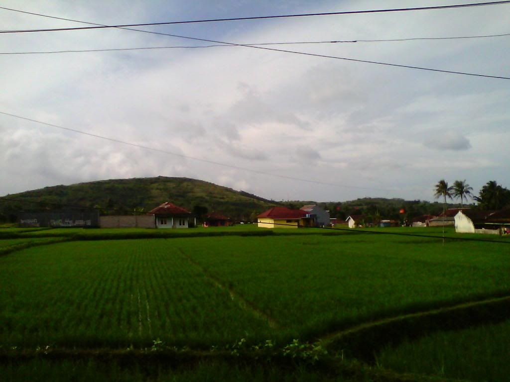 [Image: IMG_20140223_085423_zps9a63d1f5.jpg]