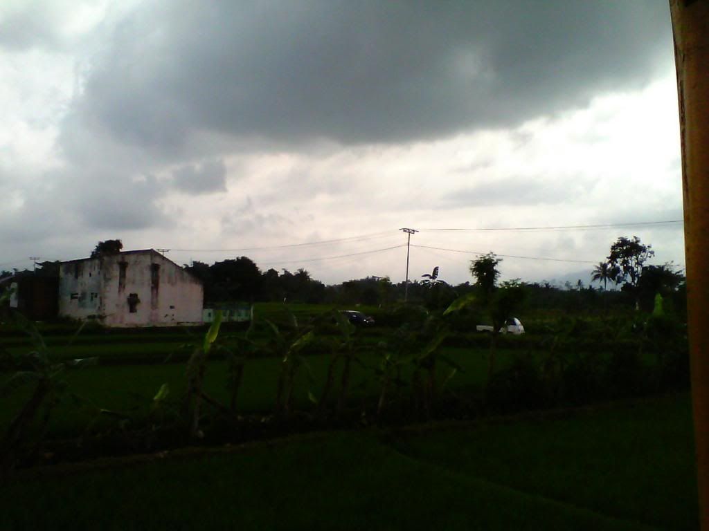 [Image: IMG_20140223_095539_zps47738d2e.jpg]