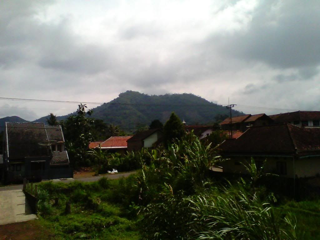 [Image: IMG_20140223_100136_zps8c83d1ca.jpg]