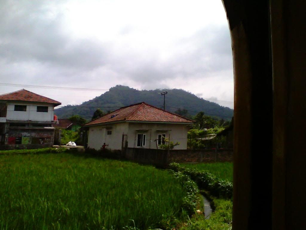 [Image: IMG_20140223_100147_zps82490c32.jpg]