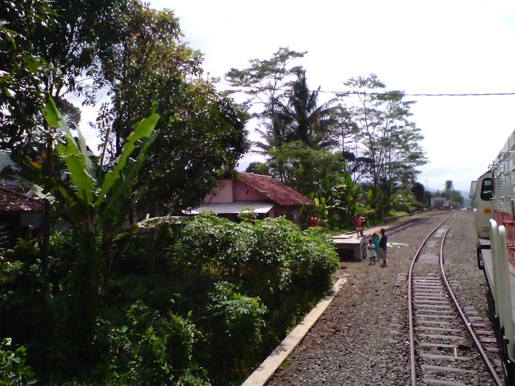 [Image: IMG_20140223_100204_zpsda410ef7.jpg]