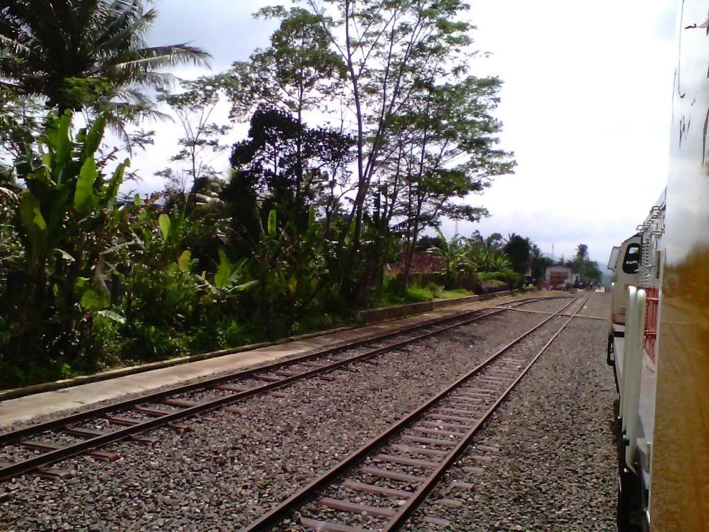 [Image: IMG_20140223_100210_zps7ddcd858.jpg]