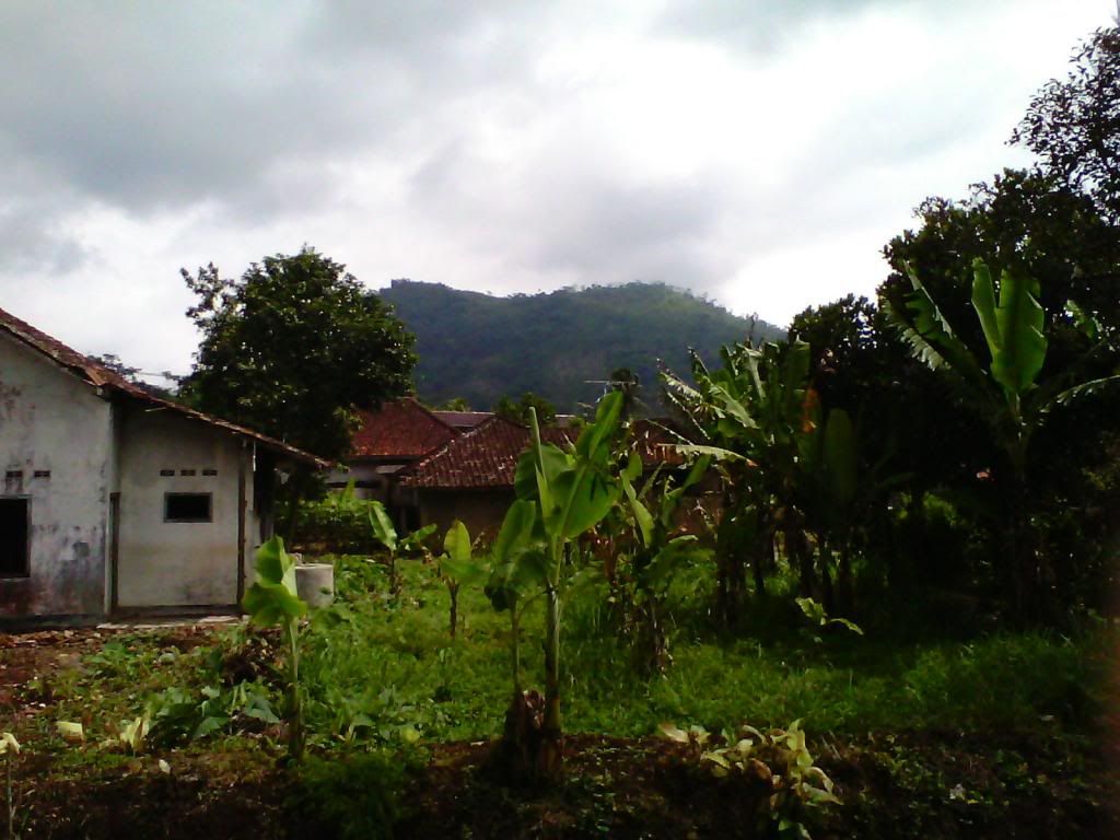 [Image: IMG_20140223_100433_zps2c10cfbe.jpg]