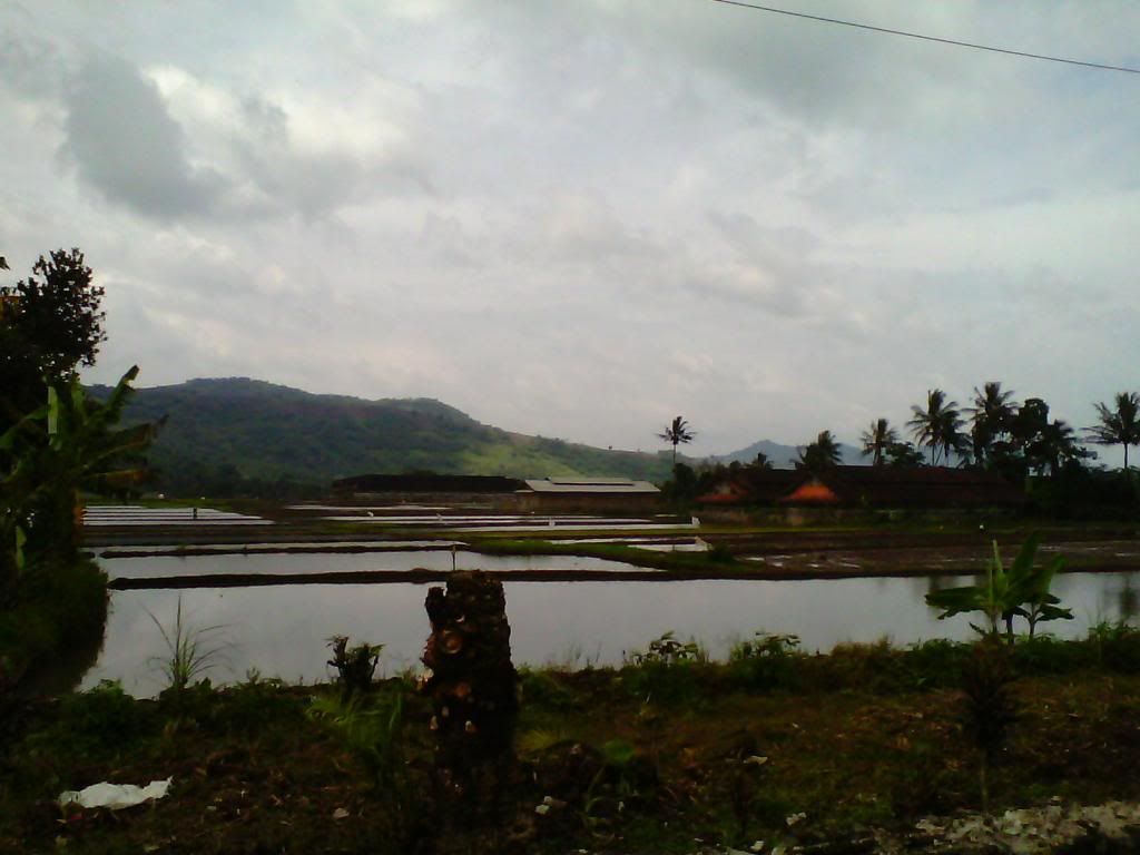 [Image: IMG_20140223_100808_zps38926efe.jpg]