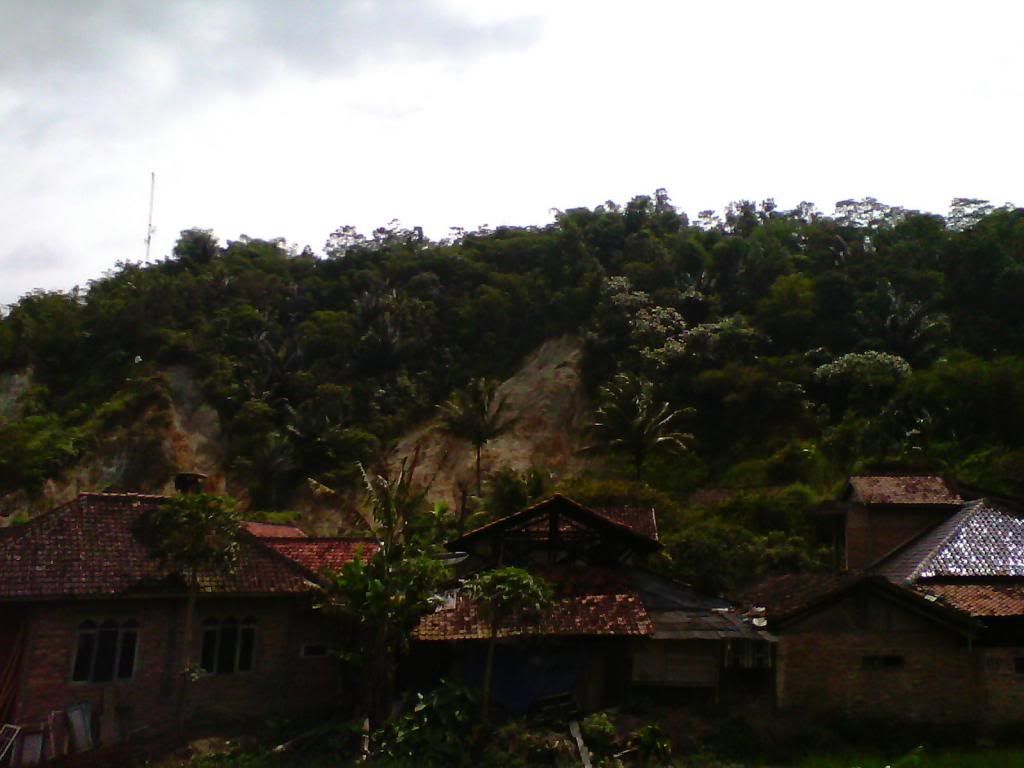[Image: IMG_20140223_101229_zps3edad1ad.jpg]
