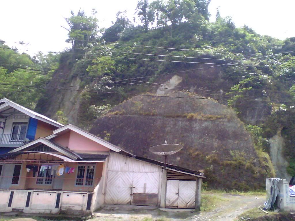 [Image: IMG_20140223_101244_zpsb0cd22a2.jpg]