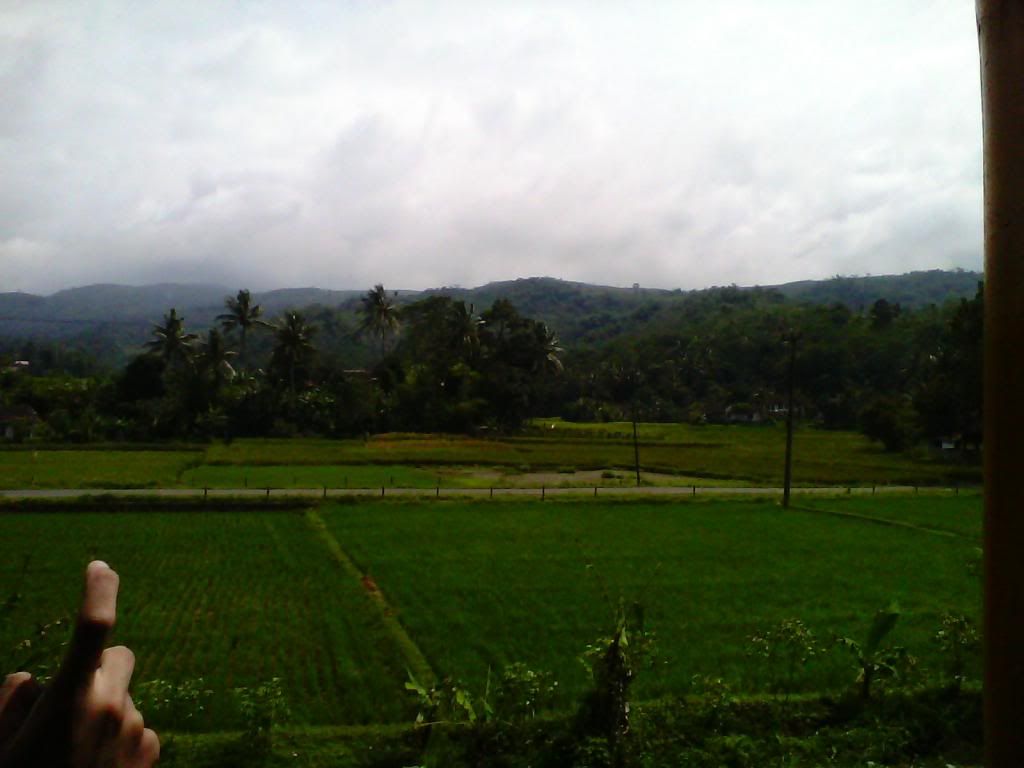 [Image: IMG_20140223_101711_zpsfec1daa7.jpg]