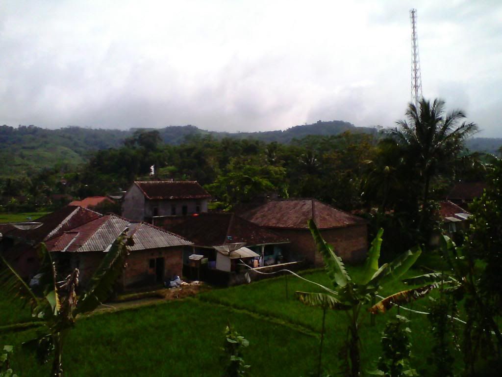 [Image: IMG_20140223_102003_zpsc0d44abd.jpg]