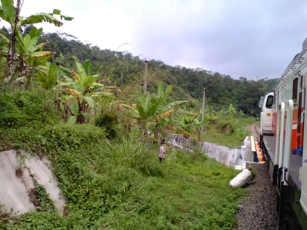 [Image: IMG_20140223_104144_zps586d3773.jpg]