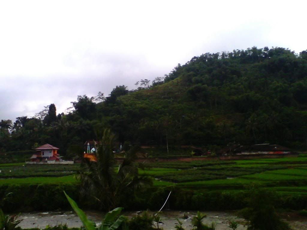 [Image: IMG_20140223_104724_zps1d33dc9b.jpg]