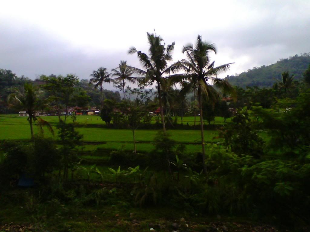 [Image: IMG_20140223_104741_zps858d94e6.jpg]