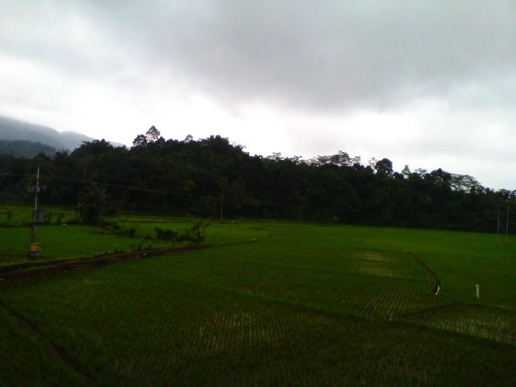 [Image: IMG_20140223_105153_zps63e463a6.jpg]
