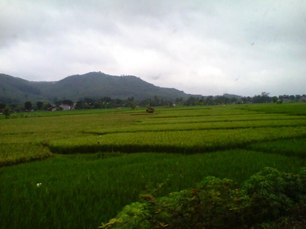 [Image: IMG_20140223_110202_zpsb85df360.jpg]