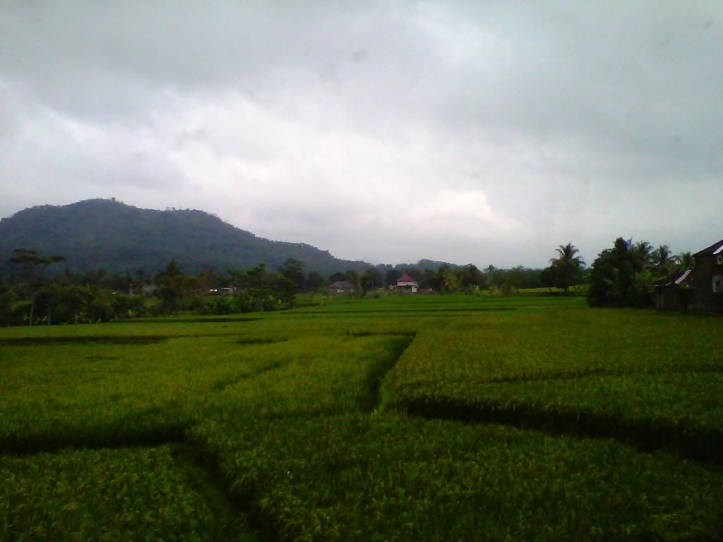 [Image: IMG_20140223_110251_zps33219781.jpg]