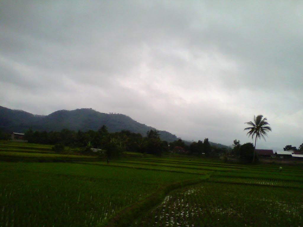 [Image: IMG_20140223_110342_zps9741f974.jpg]