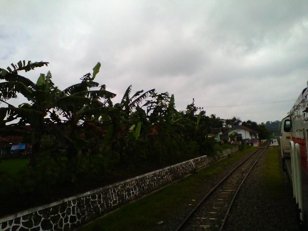 [Image: IMG_20140223_110549_zps1e57c180.jpg]