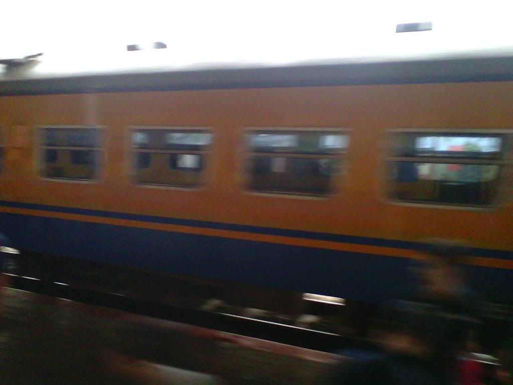 [Image: IMG_20140223_150731_zpsf478bba5.jpg]