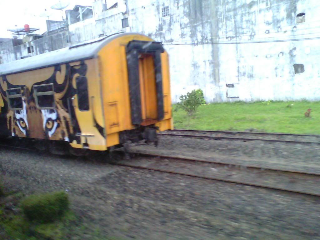 [Image: IMG_20140223_150803_zps0f0f49e5.jpg]