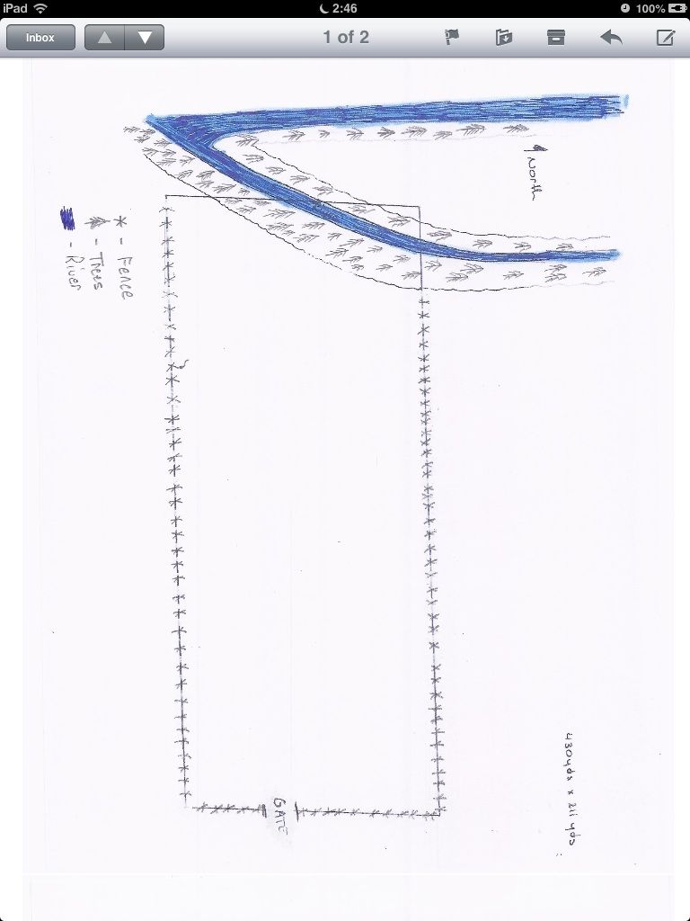 Pasture next to a river - Cattle