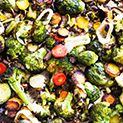 RoastedVeggies"