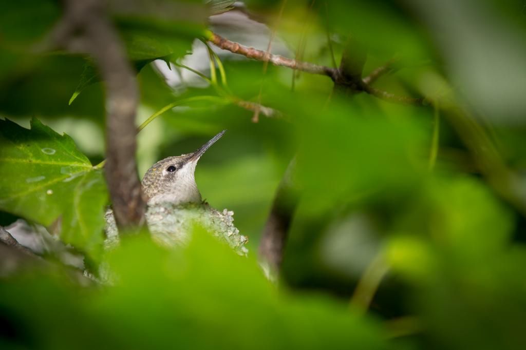 IMAGE: http://i1294.photobucket.com/albums/b615/akrott1/IMG_2461_zps85e7454e.jpg