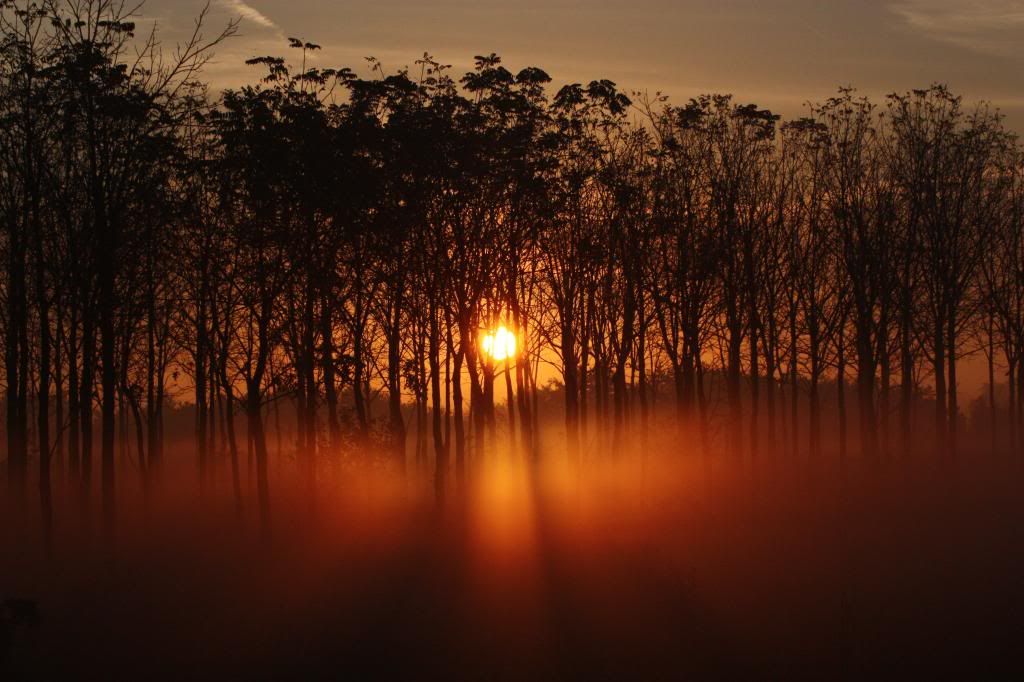 IMAGE: http://i1294.photobucket.com/albums/b615/akrott1/IMG_5220_zpsd0376898.jpg