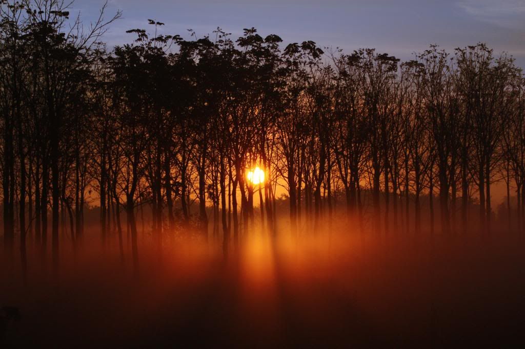 IMAGE: http://i1294.photobucket.com/albums/b615/akrott1/IMG_5220blue_zpse878caa2.jpg