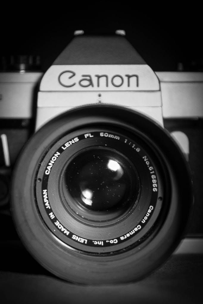 IMAGE: http://i1294.photobucket.com/albums/b615/akrott1/IMG_8170_zps86fd134e.jpg