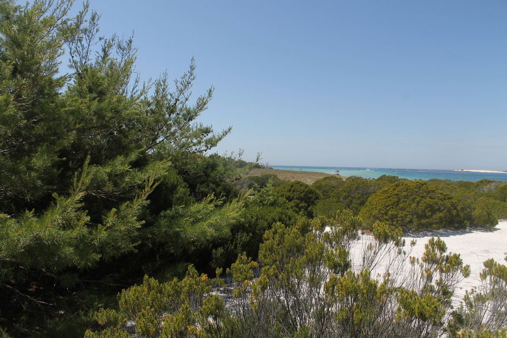 Shell Island photo IMG_2341_zpsrcott97j.jpg