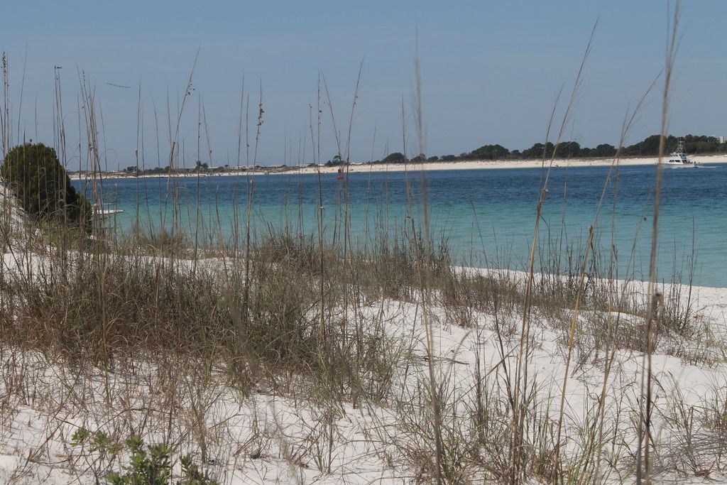 Shell Island photo IMG_2348_zpspxpdij00.jpg