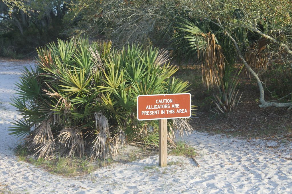 Gator Caution at Gator Lake photo IMG_2365_zpsewqlf3g3.jpg
