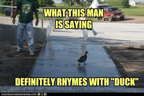 Rhymes with Duck. photo Rhymeswithduck_zps4575adec.jpg