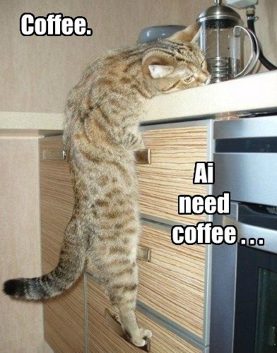 Coffee. &nbsp;Ai Need Coffee... photo AiNeedCoffee_zps17c6fc2b.jpg