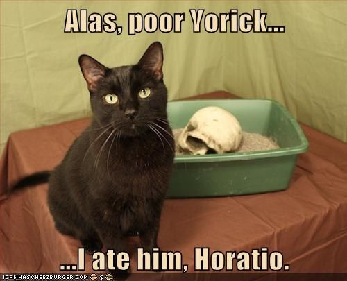 Alas, poor Yorick...I ate him, Horatio. photo AlasPoorYorik_zps3d23e8be.jpg