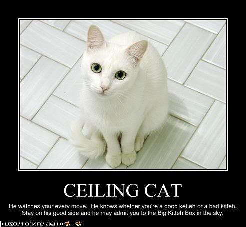 Ceiling Cat photo CeilingCat_zpsde90bbca.jpg