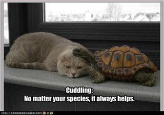 Cuddling helps photo Cuddling_zpsbac6917a.jpg