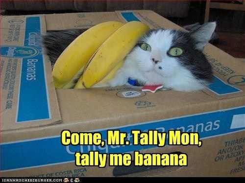 come, mr. tally mon tally me banana photo Dayoooohdaaaayoh_zps09d609bb.jpg