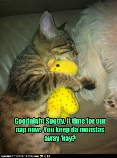 G'nite Spotty...keep monsters away. photo GoodnightSpotty_zpsa50282b7.jpg