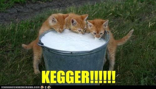 Kegger!!!!! photo Kegger_zps4b64ba8d.jpg