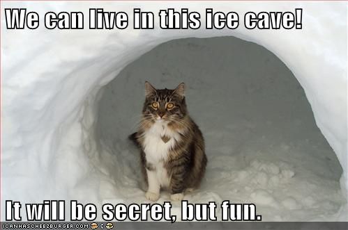 Secret but fun photo KittehIceCave_zps49dd6b0e.jpg