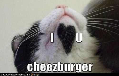 I love you cheezburger photo Luvcheezburger_zps9a28cbb7.jpg