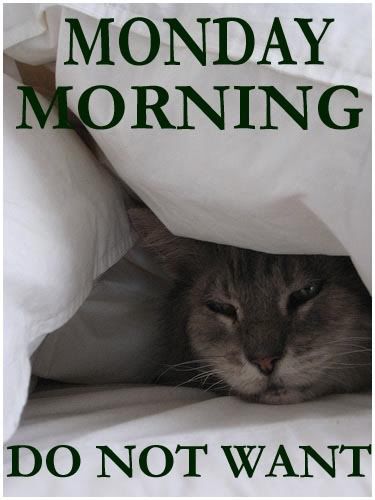 Monday Morning Do Not Want photo MondayMorning_zps6a55421c.jpg